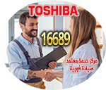 Toshiba 16689